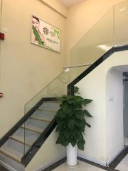 -苗医生草本科技祛痘