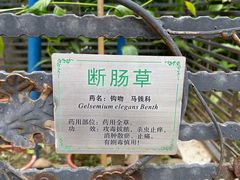 -广州神农草堂中医药博物馆