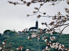 -苏州上方山国家森林公园