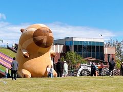 -黄海国家森林公园