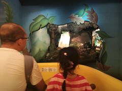 -小熊维尼历险之旅