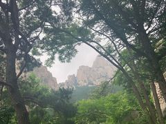 -崂山巨峰游览区