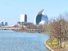 -南汇新城城市公园
