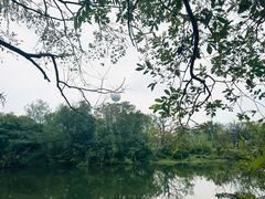 -西溪国家湿地公园