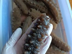 -宫品海参专卖店(静安大宁店)