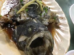 石斑鱼清蒸-四川小胡子海鲜(丁村万人海鲜广场店)