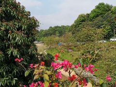 -广州市帽峰山景区