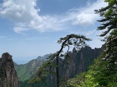 -黄山风景区