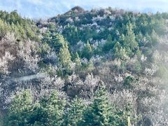 -妙峰山风景名胜区
