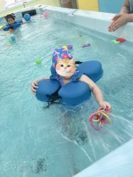 -鱼乐贝贝婴幼儿水育馆(达文路店)