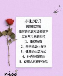 点击看大图 -玛莲朵·海菲秀冰珀科