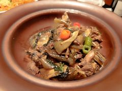 紫苏滋滋甲鱼-闽和南(深圳万象城店)