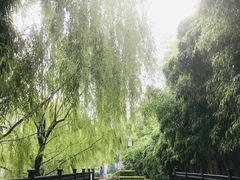 -静安区少年儿童图书馆(康定东路)