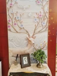 -禧悦府国际月子会所(总店)