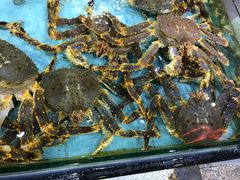 -渔民新村(番禺总店)