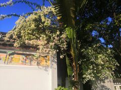 -深圳国际园林花卉博览园