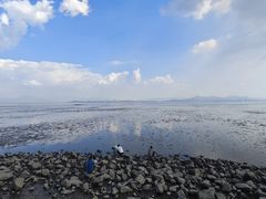 -深圳湾公园(南山区)