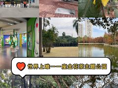 -金花茶公园