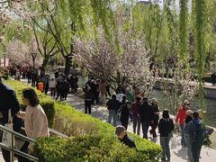 -元大都城垣遗址公园