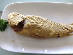 -老牌坊鲁菜名店(聊城美食岛店)