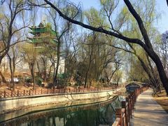 -迎泽公园