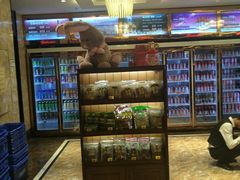 -萧邦音乐会所KTV(向西店)