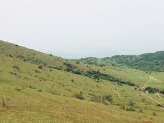 -大姆山草场