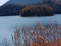 -浙西天池景区