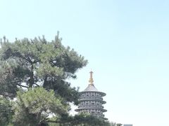 -隋唐洛阳城明堂天堂景区