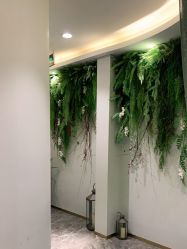 -卡尔诗·科技美肤连锁