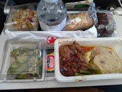 -罗纳德·里根华盛顿国家机场