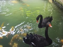 -南宫五洲植物乐园