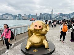 -星光大道