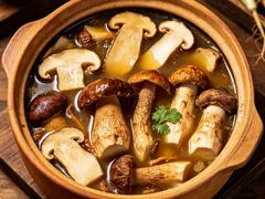 -季季山·云南野生菌火锅(上海首店)