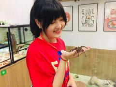 -藦茜花园宠物主题亲子互动体验馆(国顺东路店)