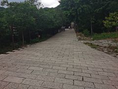 -阳台山自然风景区