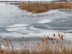 -野鸭湖国家湿地公园