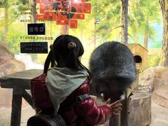 -大连圣亚海洋世界