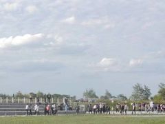 -盐城丹顶鹤湿地生态旅游区