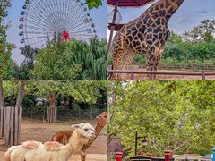 -济南野生动物世界