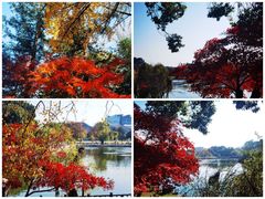 -虞山风景区