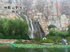 -西霞口神雕山野生动物世界