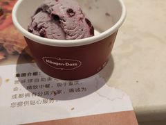 哈根达斯-芭菲盛宴·环球美食(袁家岗店)