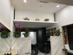 点击看大图 -Garden花園造型