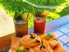 -野草莓自由市场