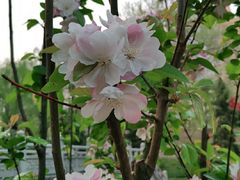 -元大都城垣遗址公园