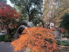-申粤轩酒楼·三十年粤菜经典(丁香花园店)