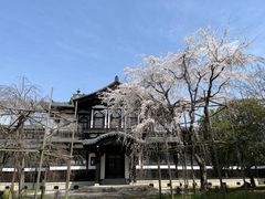 -奈良公园