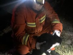 -万源龙顺度假庄园生态观光园