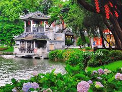 -荔湾湖公园